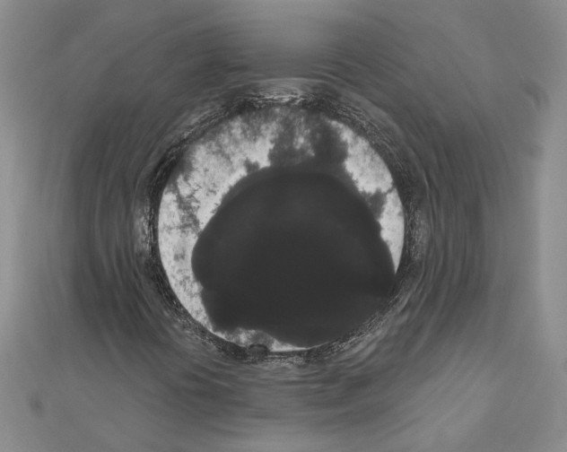 X0000111051394200908061508