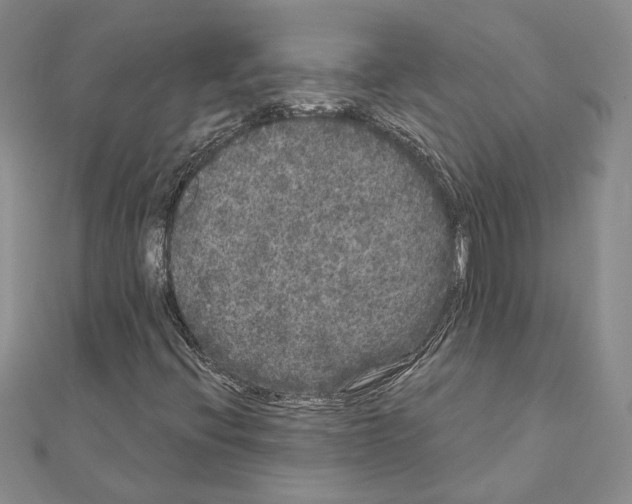 X0000111051396200908061508