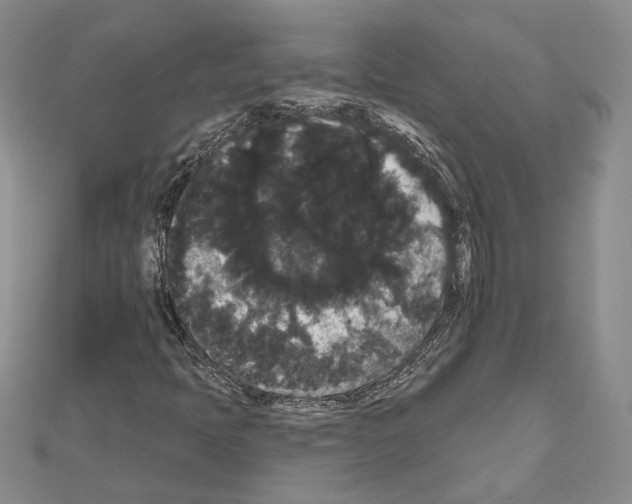 X0000111051397200908061508