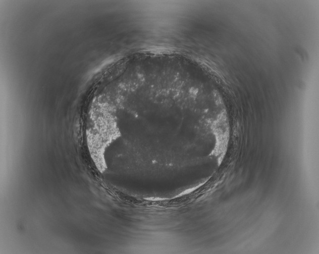 X0000111051398200908061508