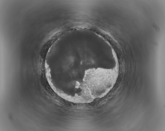 X0000111051399200908061508