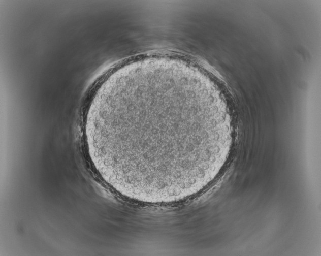 X0000111051400200908061508