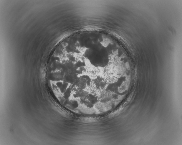 X0000111051401200908061508