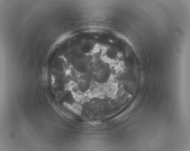 X0000111051403200908061508