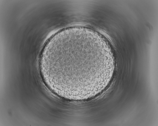 X0000111051404200908061508