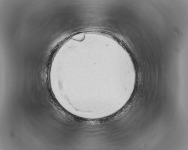 X0000111051406200908061508