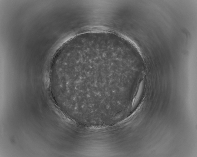 X0000111051407200908061508