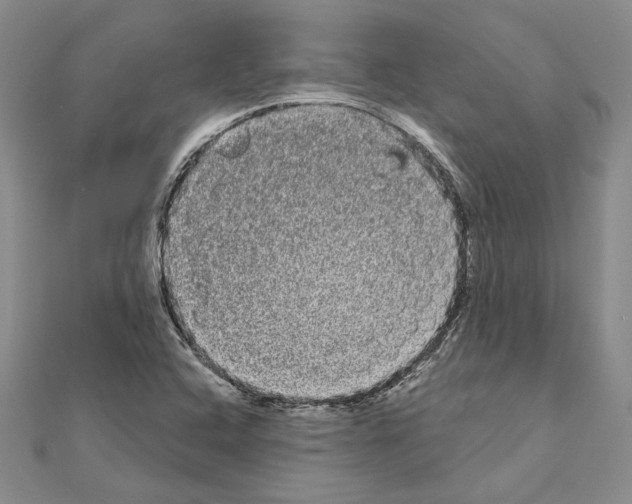 X0000111051408200908061508