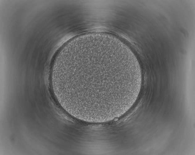 X0000111051410200908061508