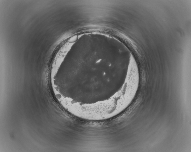 X0000111051411200908061508