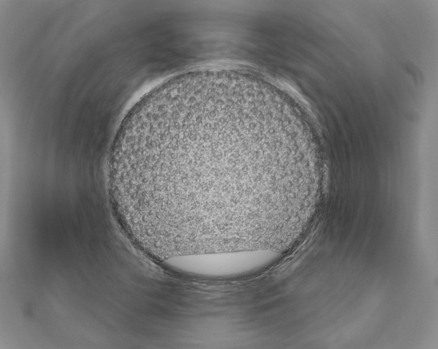 X0000111051412200908061508