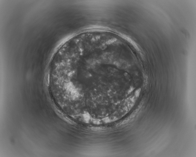 X0000111051413200908061508