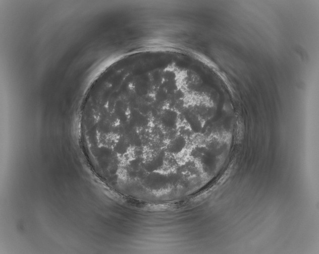 X0000111051415200908061508