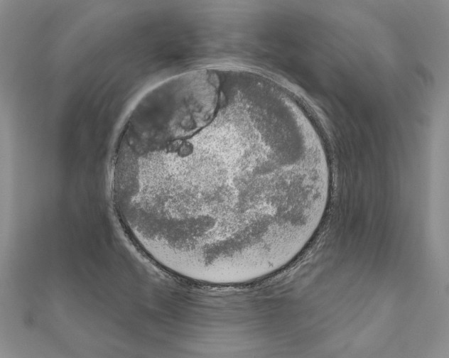 X0000111051416200908061508