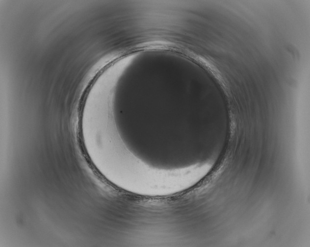 X0000111051418200908061508