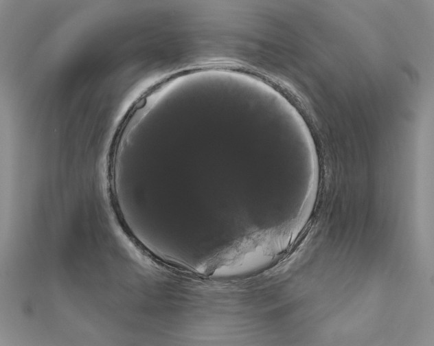 X0000111051422200908061508