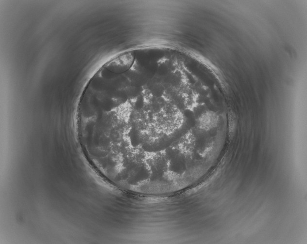 X0000111051423200908061508