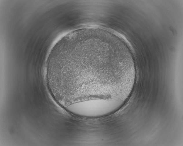 X0000111051424200908061508