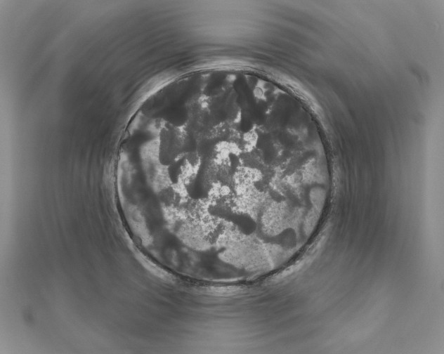 X0000111051425200908061508