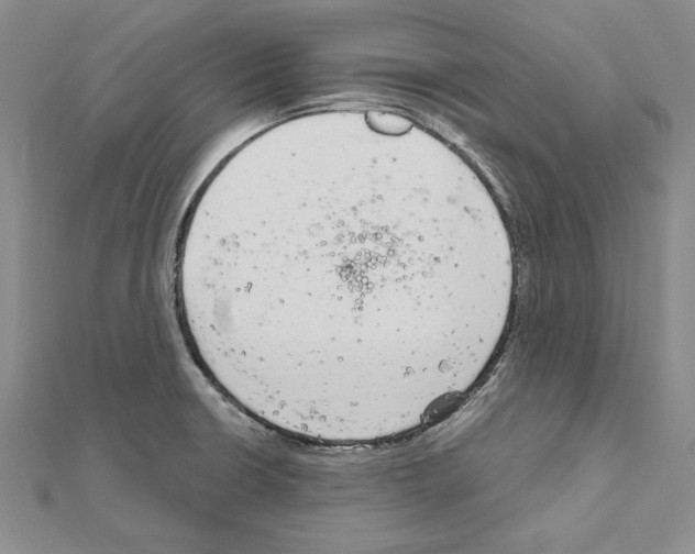 X0000111051426200908061508