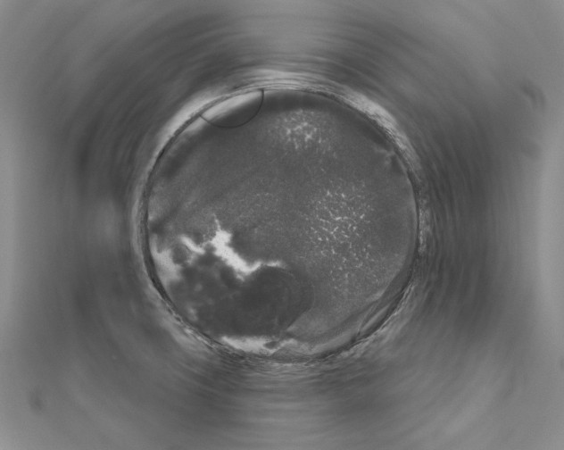 X0000111051427200908061508