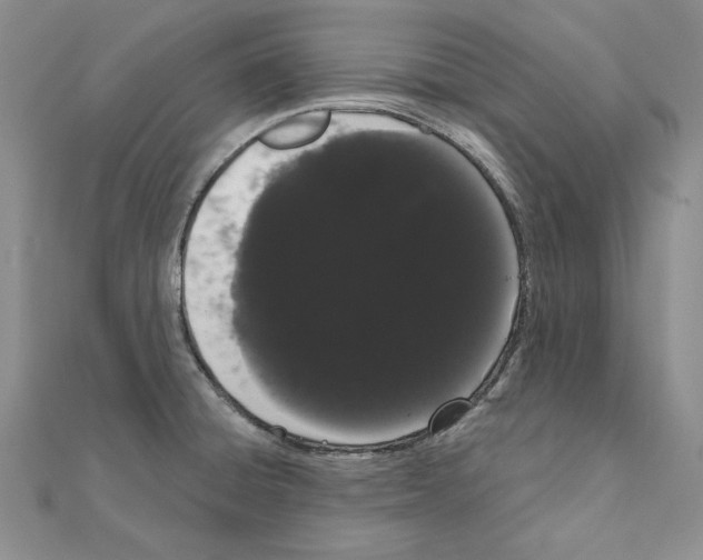 X0000111051428200908061508