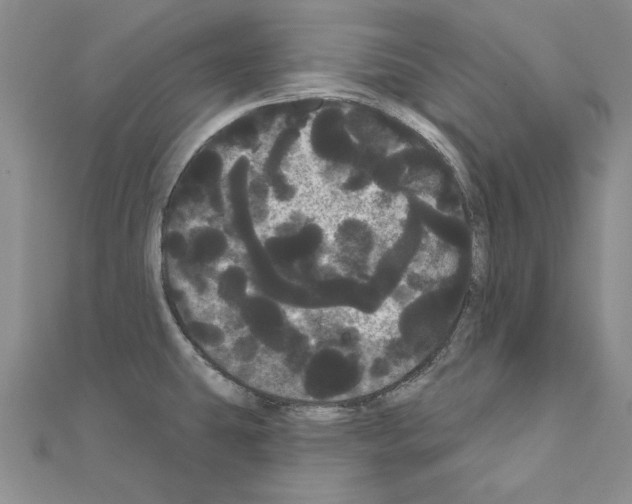 X0000111051431200908061508