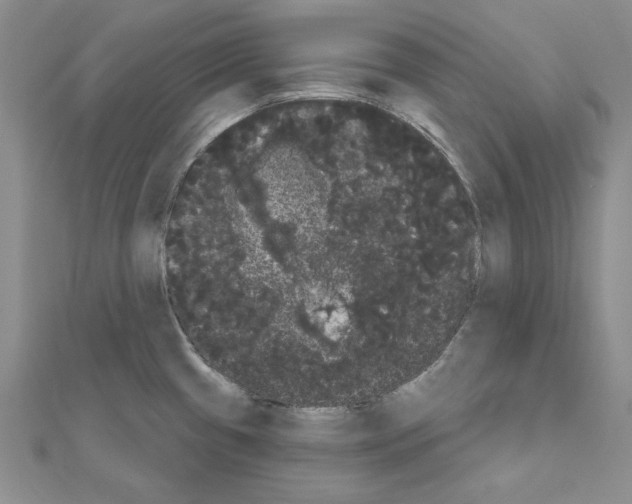 X0000111051433200908061508