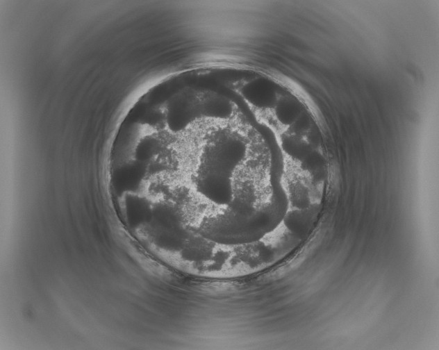 X0000111051435200908061508