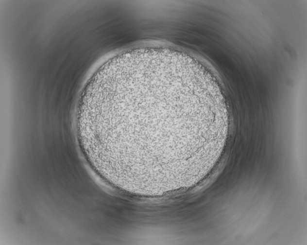 X0000111051438200908061508