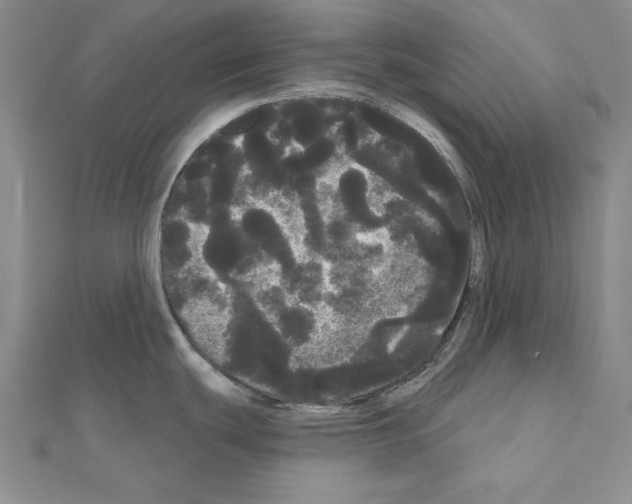 X0000111051439200908061508