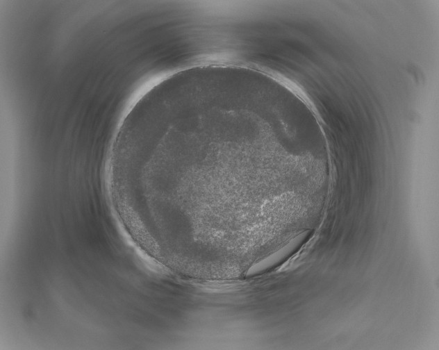 X0000111051440200908061508