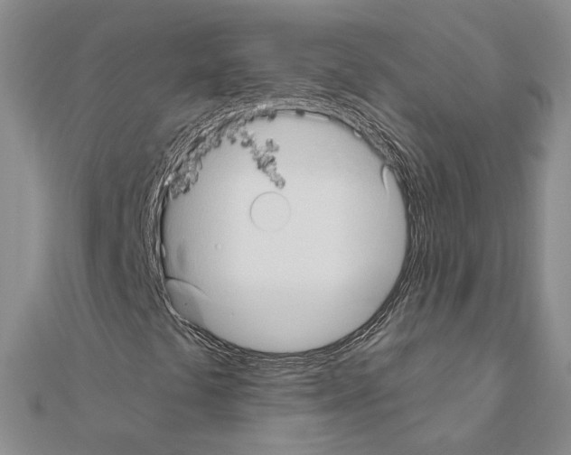 X0000111051441200908061508