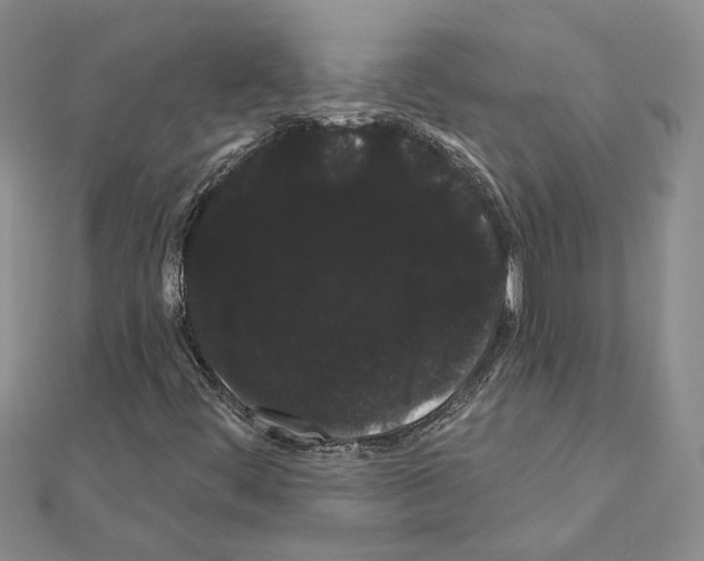 X0000111051444200908061508