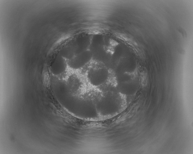 X0000111051446200908061508