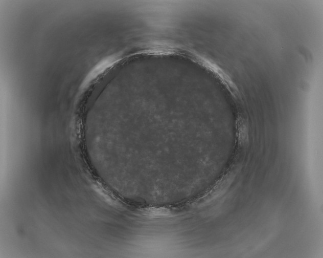 X0000111051448200908061507