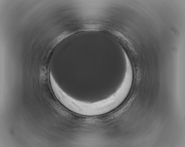 X0000111051449200908061507