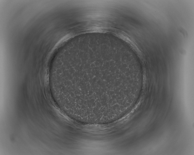 X0000111051450200908061507