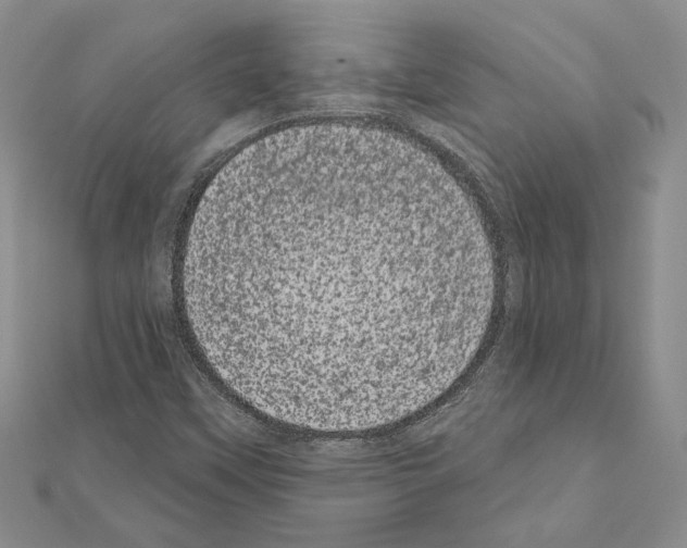 X0000111051451200908061507