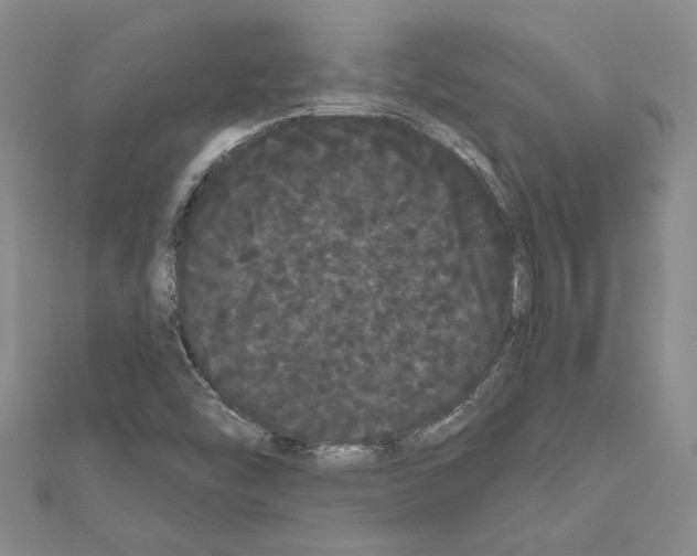 X0000111051454200908061507