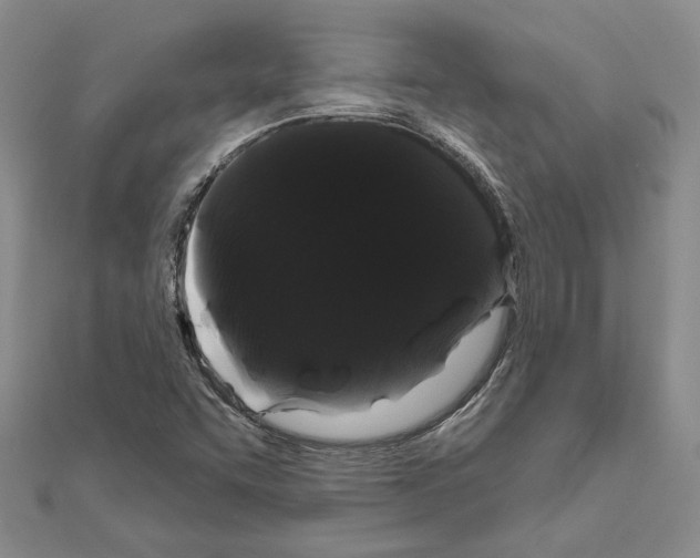 X0000111051455200908061507