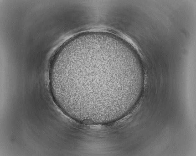 X0000111051456200908061507