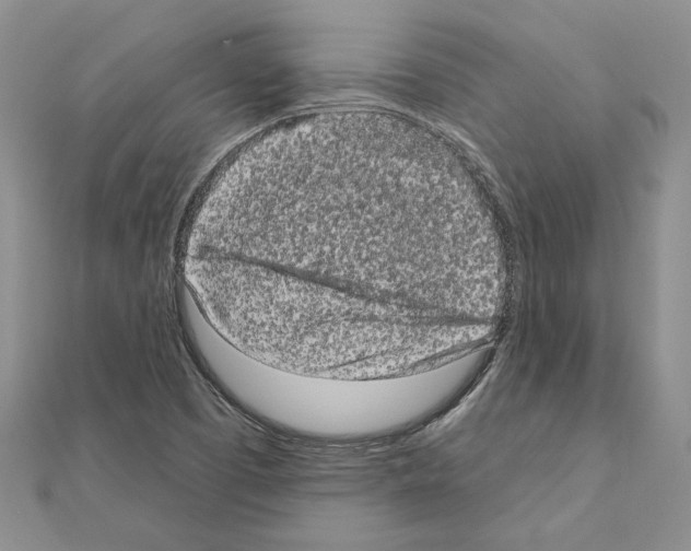 X0000111051457200908061507