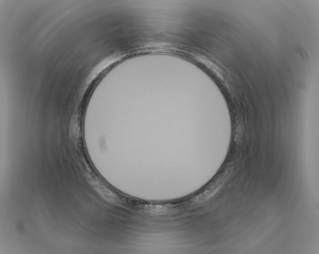 X0000111051458200908061507