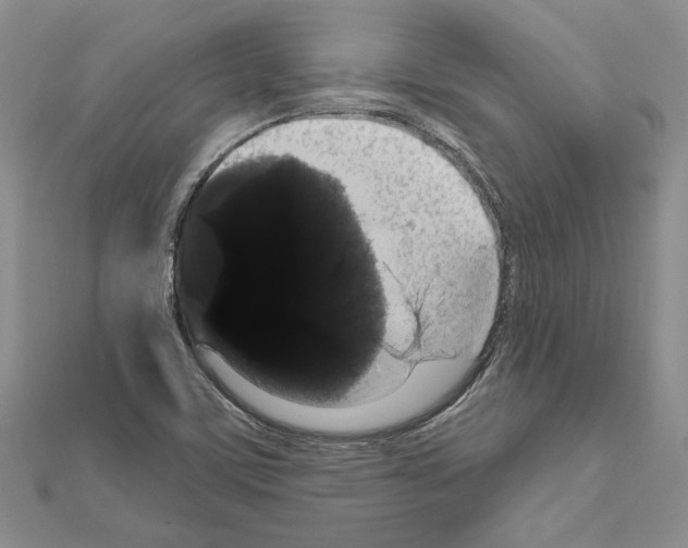 X0000111051459200908061507