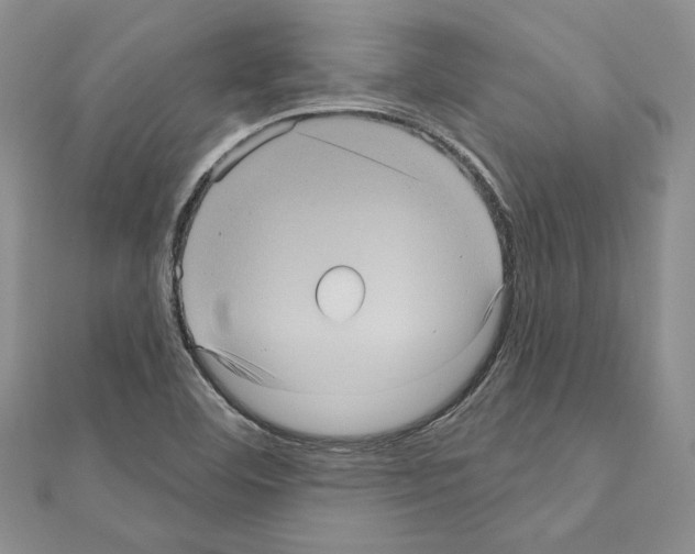 X0000111051460200908061507