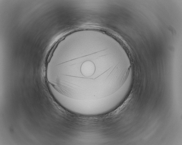 X0000111051461200908061507