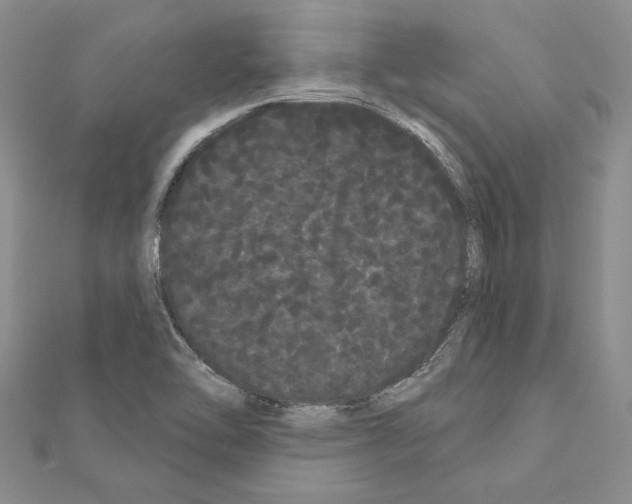 X0000111051462200908061507