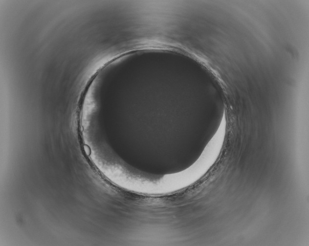 X0000111051463200908061507