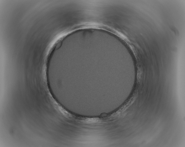 X0000111051464200908061507